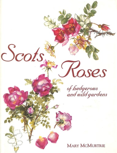 Scots Roses of Hedgerows and Wild Gardens