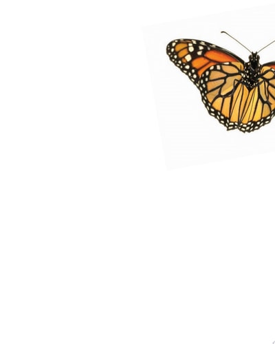 Science, Evolution, and Creationism