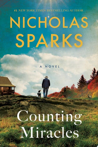 Counting Miracles: A Novel