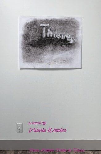 Thieves: A Novel (Fence Modern Prize in Prose)