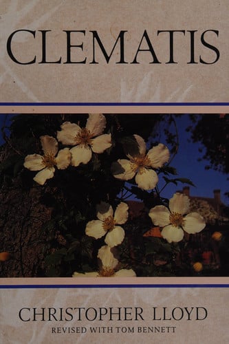 Clematis