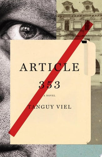 Article 353: A Novel
