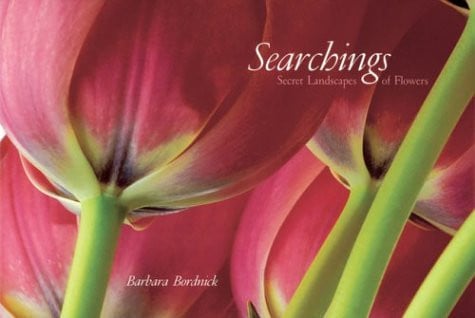 Searchings