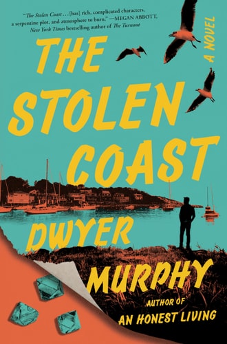 The Stolen Coast: A Novel