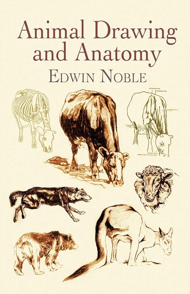 Animal Drawing and Anatomy (Dover Art Instruction) cover image