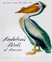 Audubon's Birds of America cover image