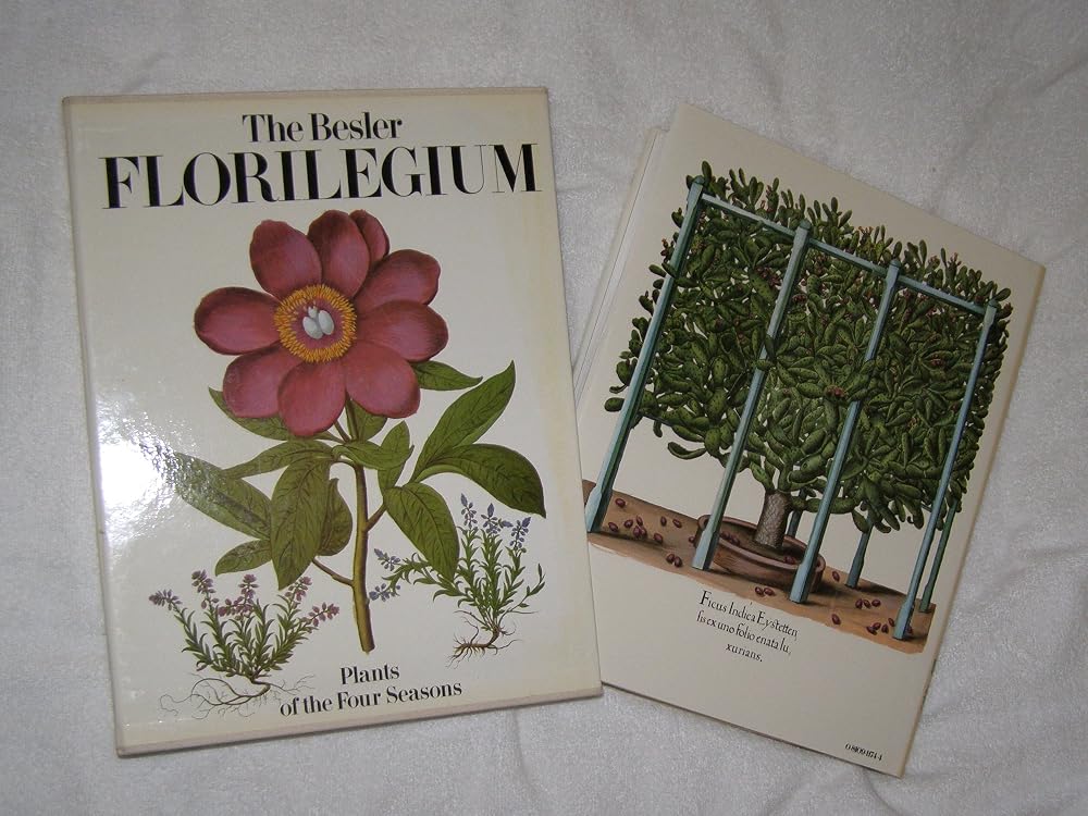 The Besler Florilegium: Plants of the Four Seasons cover image