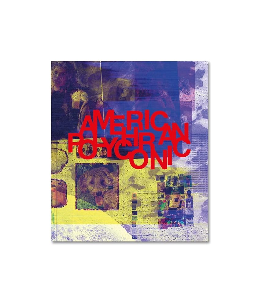 AMERICAN POLYCHRONIC cover image