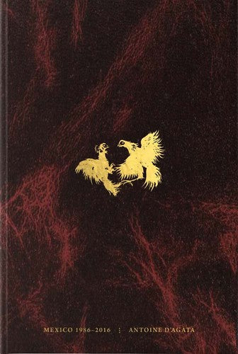Antoine D'Agata: Mexico cover