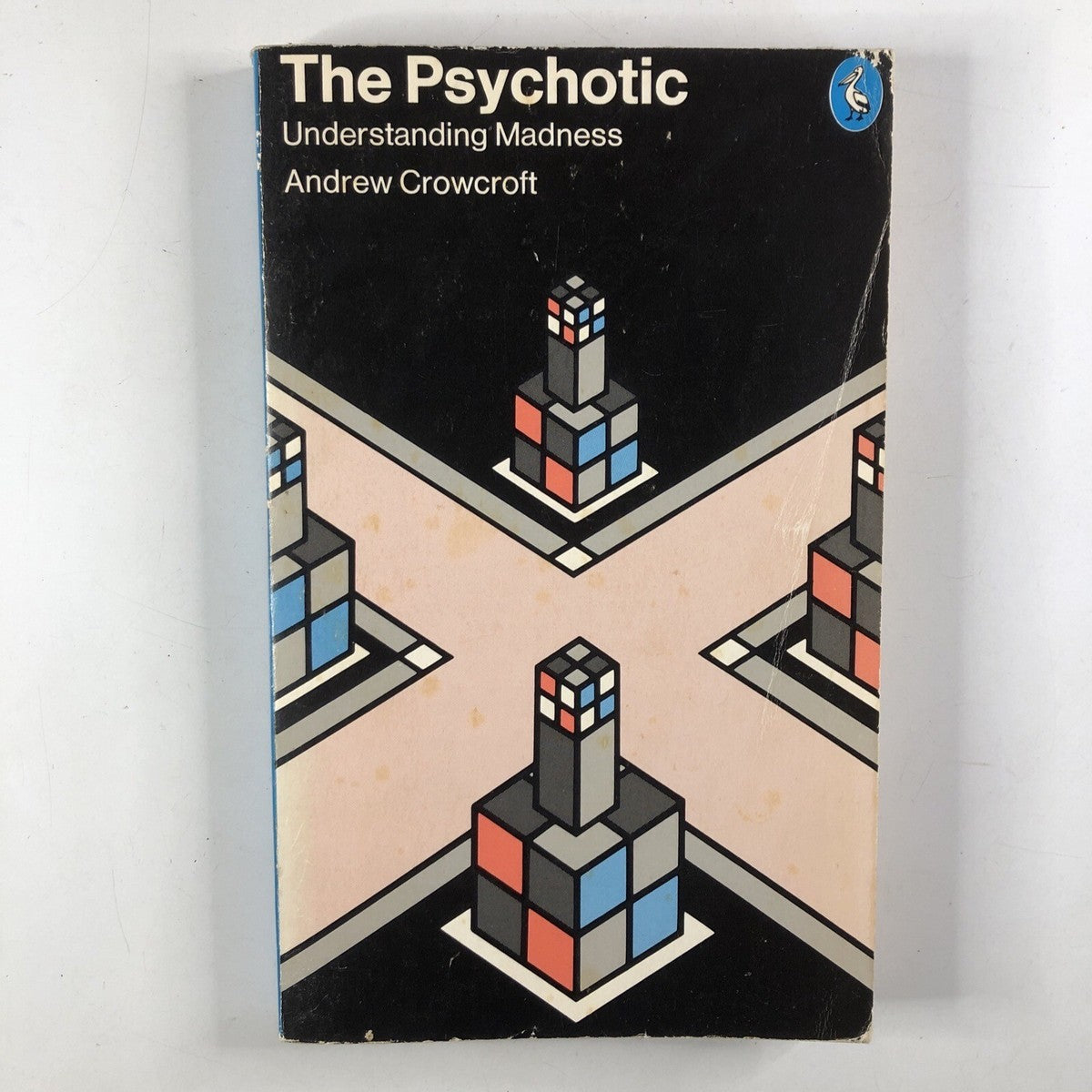 The psychotic: understanding madness.