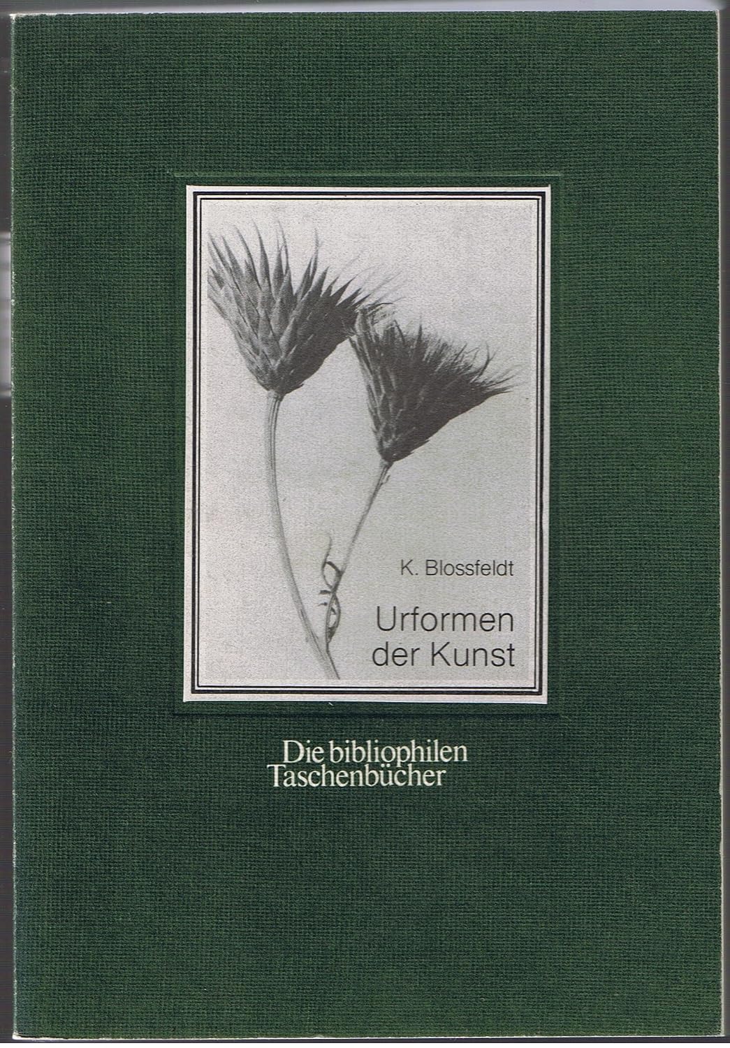 Urformen der Kunst : Nachw. v. u. Jnrgen Wilde (German Edition)