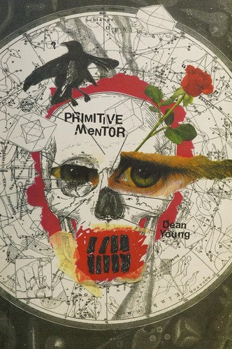 Primitive Mentor (Pitt Poetry Series) cover