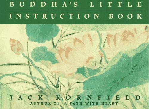Buddha's Little Instruction Book cover