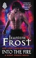 Into the Fire: A Dark Fantasy Romance of Dangerous Passion and Cursed Magic (Night Prince) cover