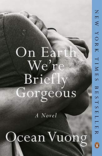 On Earth We're Briefly Gorgeous: A Novel cover