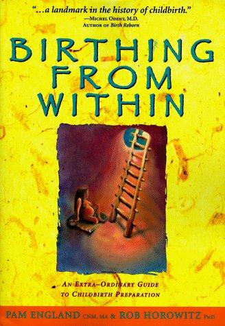 Birthing from Within: An Extra-Ordinary Guide to Childbirth Preparation cover