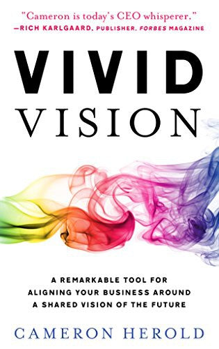 Vivid Vision: A Remarkable Tool For Aligning Your Business Around a Shared Vision of the Future cover