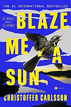 Blaze Me a Sun: A Novel About a Crime cover