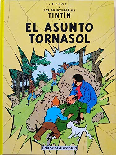 El asunto Tornasol (rústica) cover