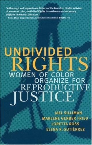 Undivided Rights: Women of Color Organizing for Reproductive Justice cover