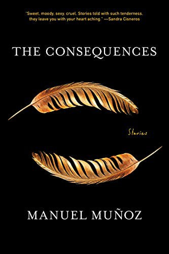 The Consequences: Stories cover