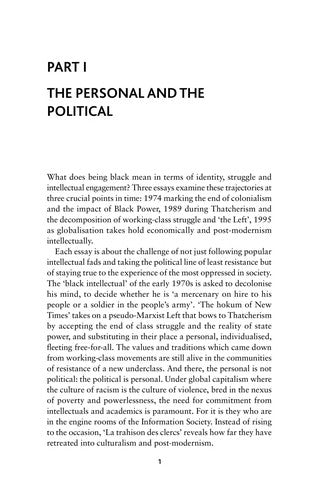 Catching History on the Wing: Race, Culture and Globalisation (Get Political) cover
