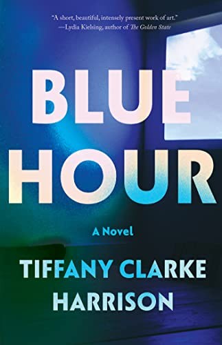 Blue Hour: A Novel cover