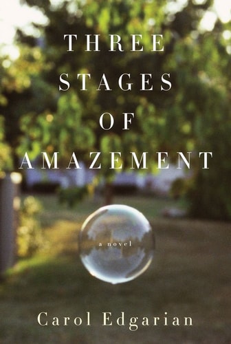 Three Stages of Amazement: A Novel
