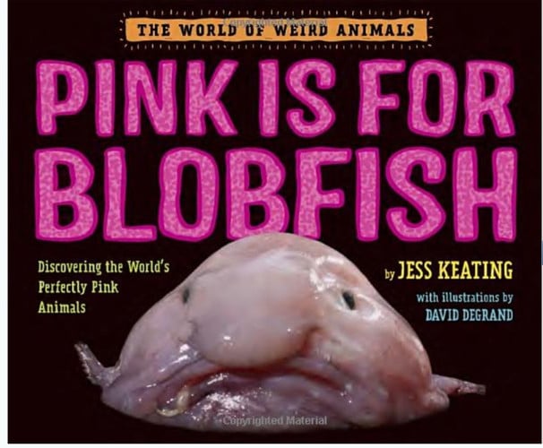 Pink is for Blobfish