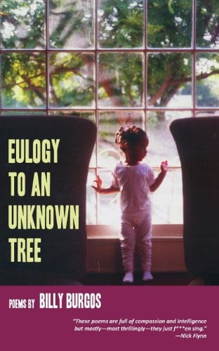 Eulogy to an Unknown Tree
