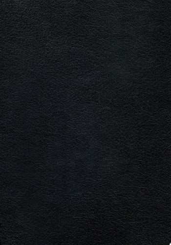 Berserk Deluxe Volume 2