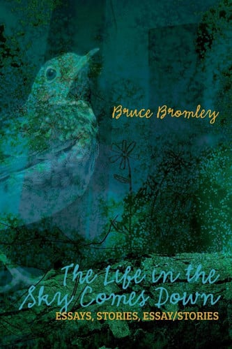 The Life in the Sky Comes Down