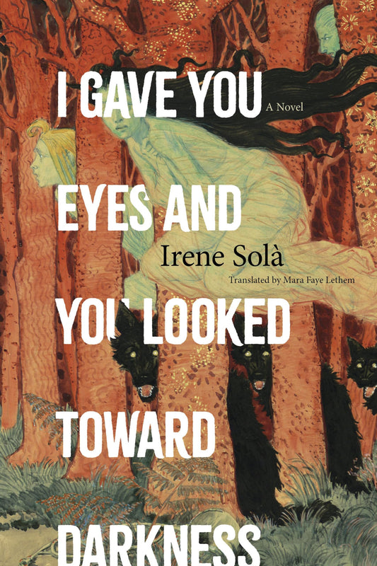 I Gave You Eyes and You Looked Toward Darkness: A Novel