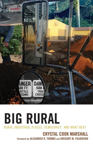 Big Rural: Rural Industrial Places, Democracy, and What Next (Studies in Urban–Rural Dynamics)