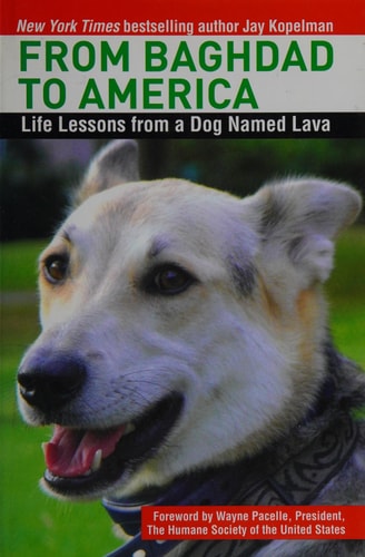 From Baghdad to America: Life Lessons from a Dog Named Lava