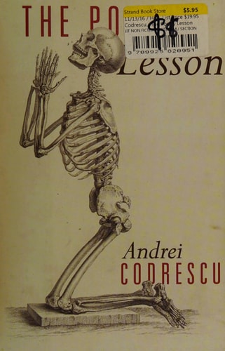 The Poetry Lesson