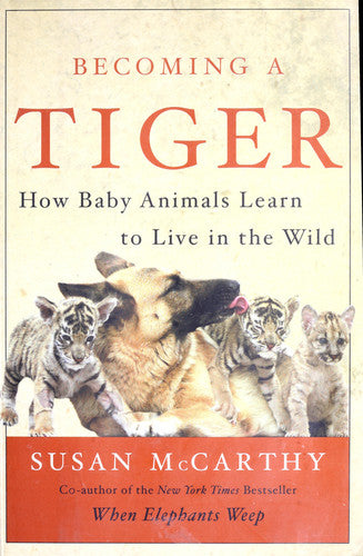 Becoming a Tiger: How Baby Animals Learn to Live in the Wild