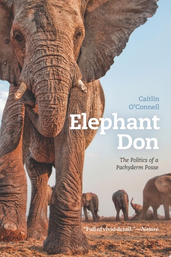 Elephant Don: The Politics of a Pachyderm Posse