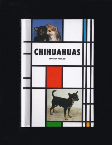 Chihuahuas