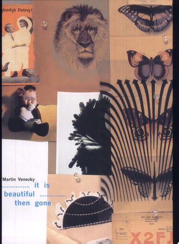 It Is Beautiful -- Then Gone