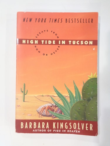 High Tide in Tucson: Essays from Now or Never