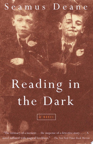Reading in the Dark: A Novel