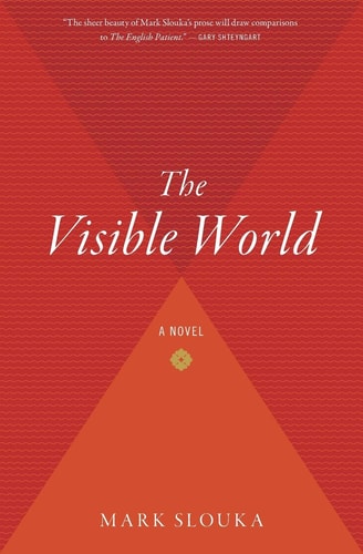 The Visible World: A Novel