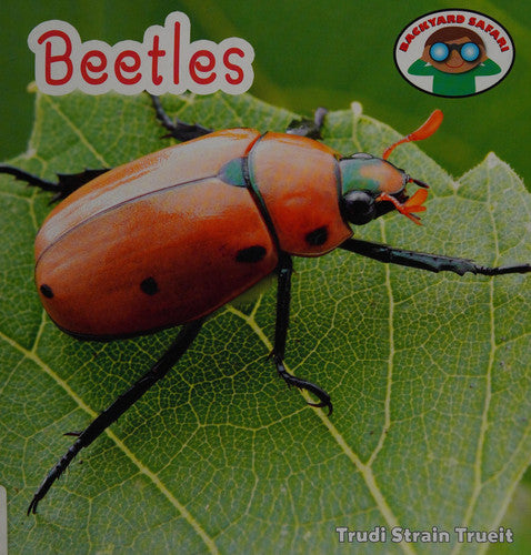 Beetles
