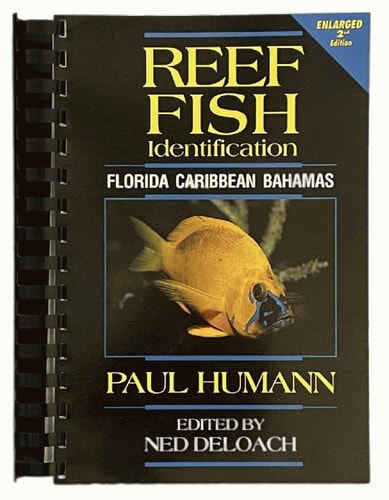 Reef Fish Identification: Florida, Caribbean, Bahamas