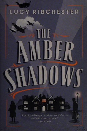 The Amber Shadows: A Novel