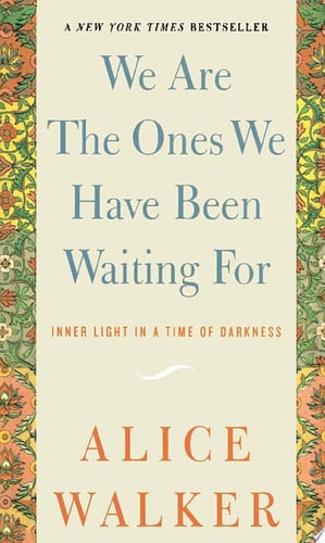 We Are the Ones We Have Been Waiting For: Inner Light in a Time of Darkness