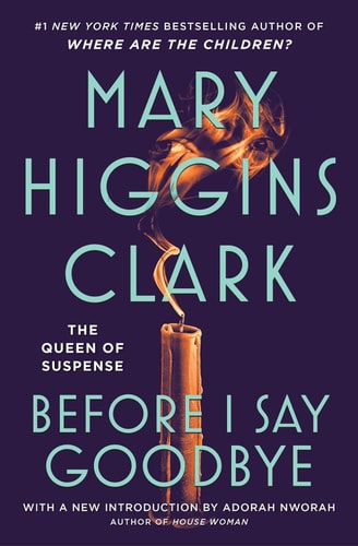 Before I Say Good-Bye: A Novel