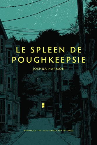 Le Spleen de Poughkeepsie (Akron Series in Poetry (Paperback))