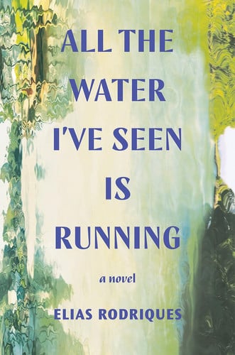 All the Water I've Seen Is Running: A Novel